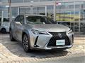 2019 Lexus UX