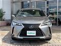 2019 Lexus UX