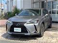 2019 Lexus UX