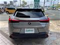 2019 Lexus UX