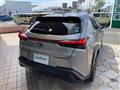 2019 Lexus UX