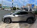 2019 Lexus UX