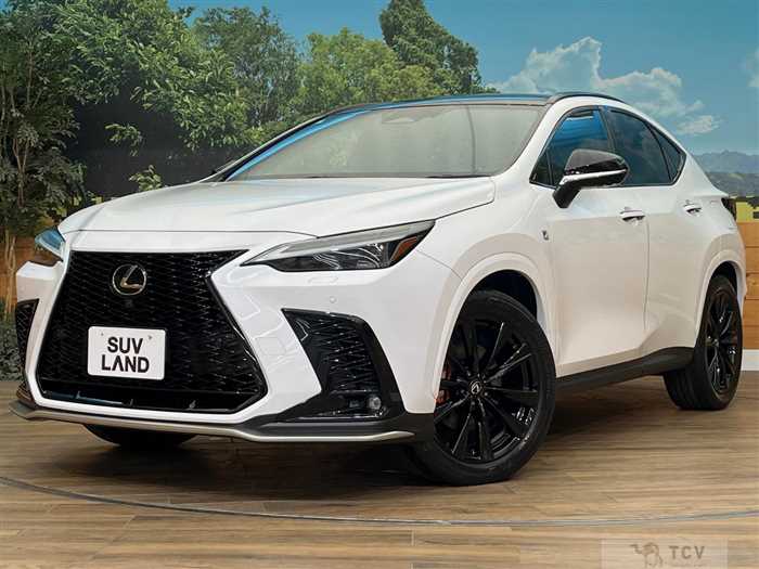 2023 Lexus NX