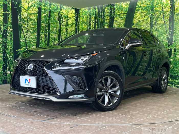 2017 Lexus NX