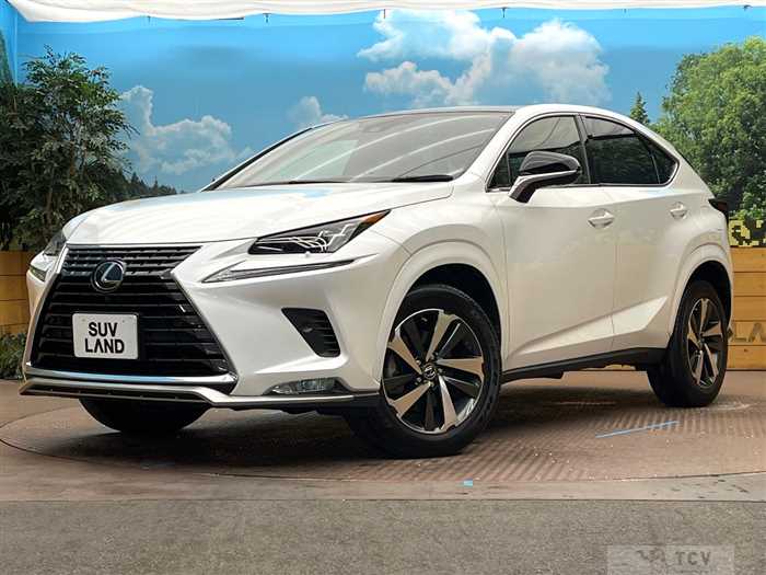 2020 Lexus NX