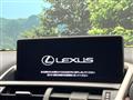 2020 Lexus NX