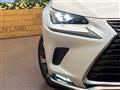 2020 Lexus NX