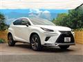 2020 Lexus NX