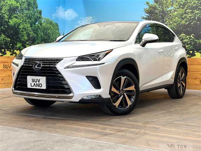 2021 Lexus NX