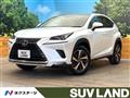 2021 Lexus NX
