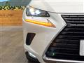 2021 Lexus NX