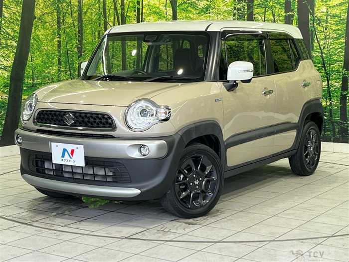 2019 Suzuki Suzuki Others