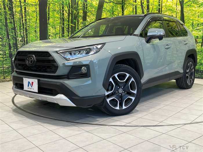 2019 Toyota RAV4
