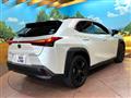 2020 Lexus Other