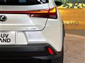 2020 Lexus Other