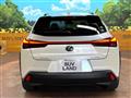 2020 Lexus Other