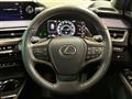 2020 Lexus Other