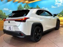 2020 Lexus Other