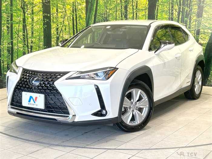 2019 Lexus Other