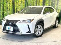 2019 Lexus Other