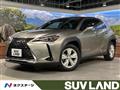 2019 Lexus Other