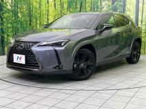 2022 Lexus Other