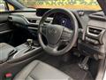 2020 Lexus Other