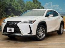 2020 Lexus Other