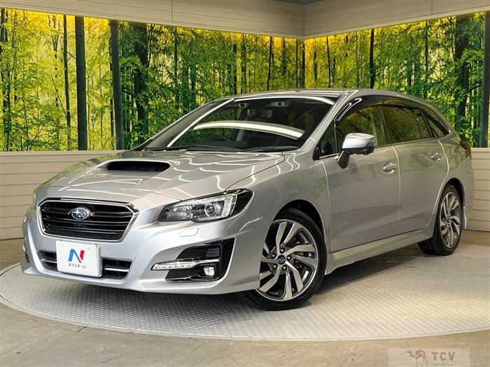 2019 Subaru Levorg