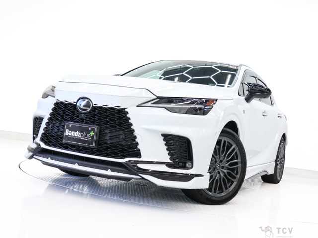 2023 Lexus RX