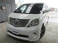 2010 Toyota Alphard G