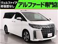 2019 Toyota Alphard G