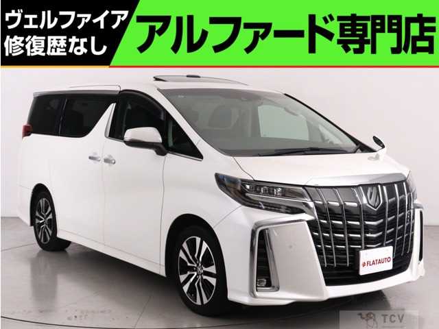 2019 Toyota Alphard G