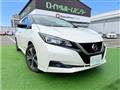2018 Nissan Nissan Others