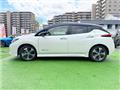 2018 Nissan Nissan Others