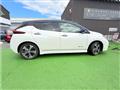 2018 Nissan Nissan Others
