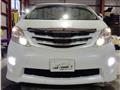 2010 Toyota Alphard G