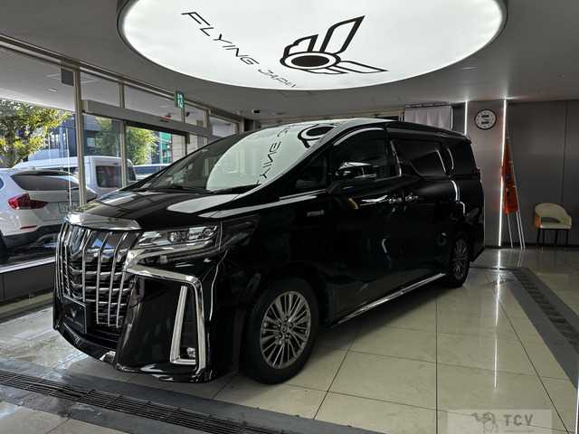 2019 Toyota Alphard G