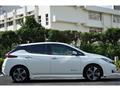 2018 Nissan Nissan Others
