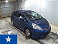 2011 Honda Fit shuttle