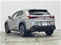 2019 Lexus UX