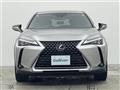 2019 Lexus UX