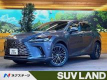 2024 Lexus RX