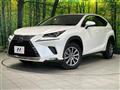 2018 Lexus NX