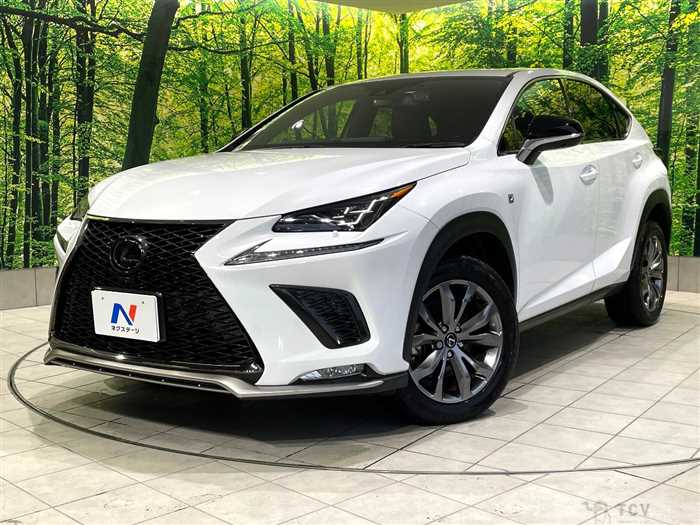 2020 Lexus NX