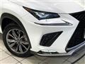2020 Lexus NX