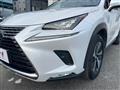 2018 Lexus NX