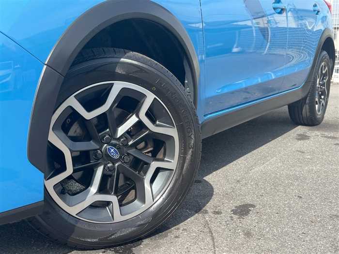 Subaru Pegasus 2016 photo 5