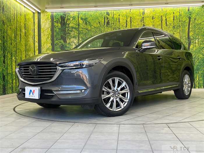 2018 Mazda CX-8