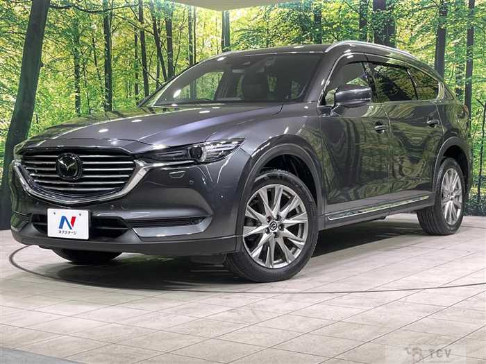 2018 Mazda CX-8